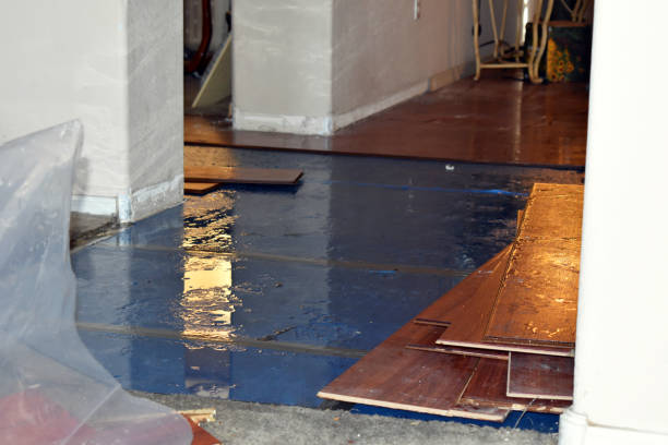 Professional Emergency Water Damage Restoration technician working in Lummi Island, WA